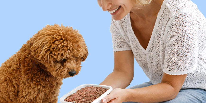 Raw Feeding Myths I Hear Every Week... And the Truth Behind Them