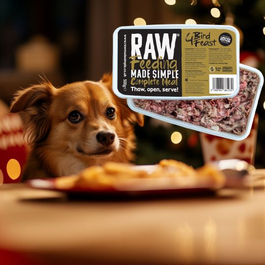 4 bird raw dog food